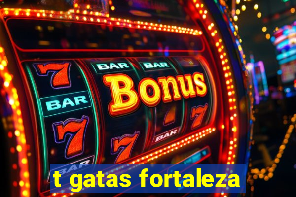 t gatas fortaleza